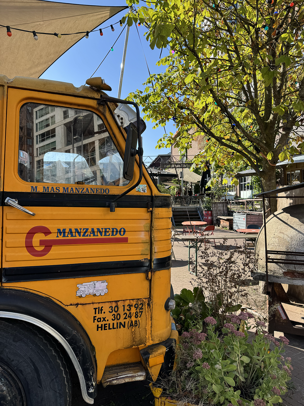 Bus op voorgrond bij planten en terras